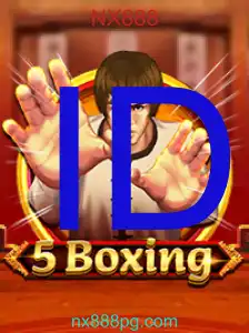5Boxing
